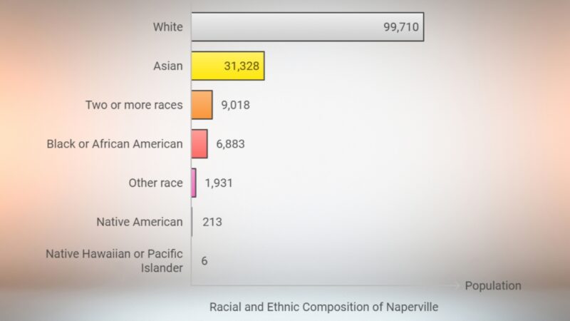 Ethnic Groups in Naperville Chart