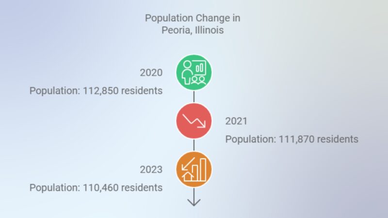 Population Trends and Statistical Insights in Peoria, Illinois Chart